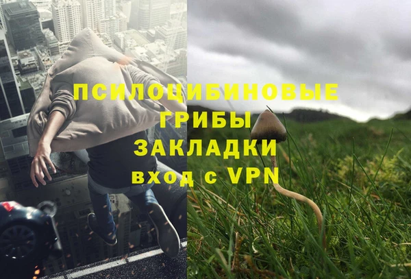 МДПВ Бугульма