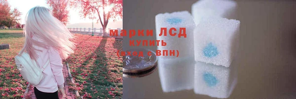 молекула духа Бронницы
