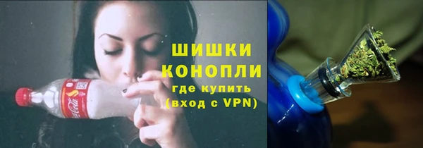 молекула духа Бронницы