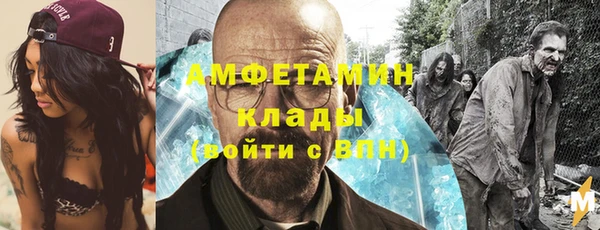 молекула духа Бронницы