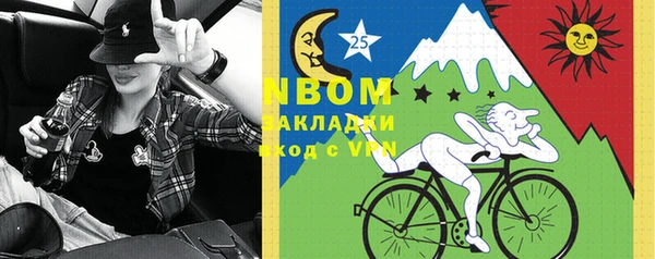 молекула духа Бронницы