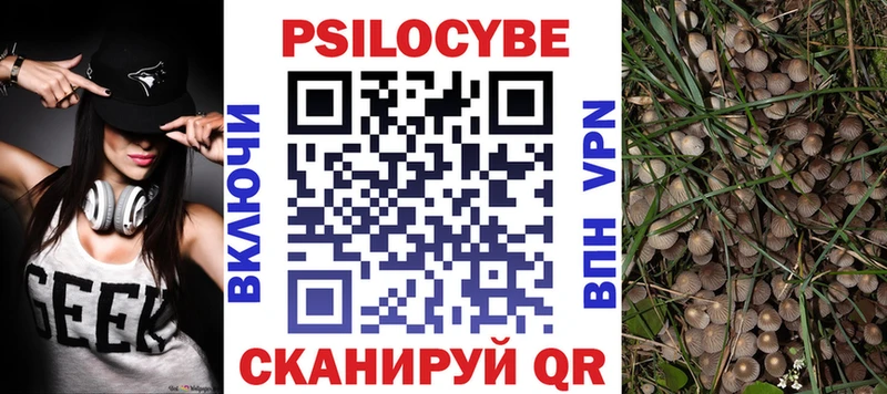 где продают   Вятские Поляны  Галлюциногенные грибы мухоморы 